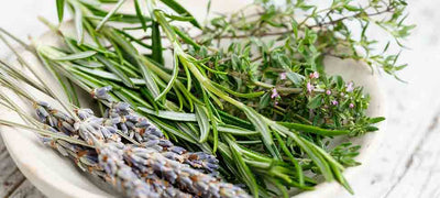 Rosemary Oil in Personal and Skin Care